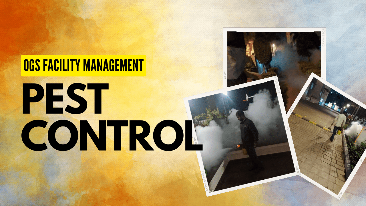 Pest Control Services in Residential Apartment, Get Rid of Pests with Pest Control Services
