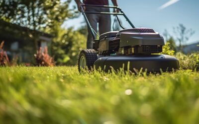 Five Ways to Save Greenery This Summer at Your High-Rise Apartments